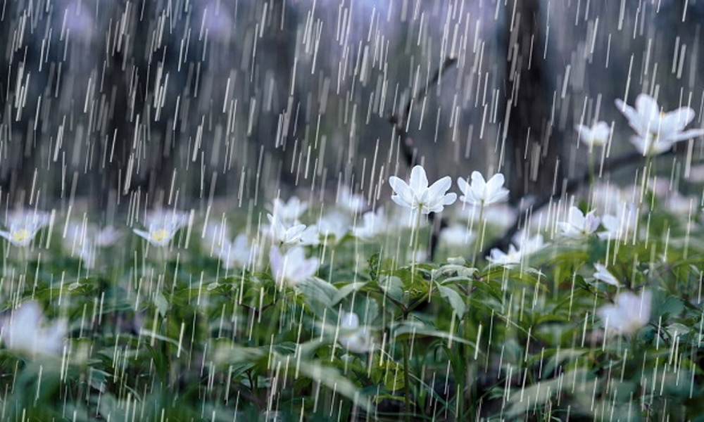 Weather forecast for nighttime of 03rd July and full day of 04th July, 2025